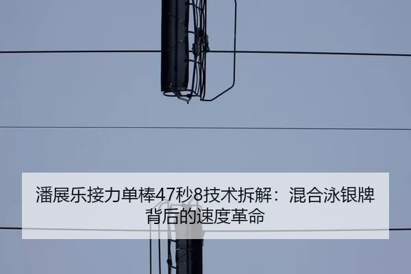 潘展乐接力单棒47秒8技术拆解：混合泳银牌背后的速度革命